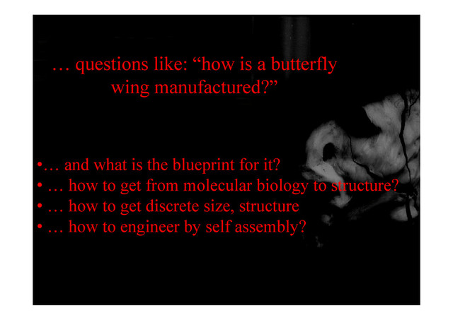 … questions like: “how is a butterfly
wing manufactured?”
wing manufactured?
d h t i th bl i t f it?
•… and what is the blueprint for it?
• … how to get from molecular biology to structure?
• … how to get discrete size, structure
• … how to engineer by self assembly?
g y y
