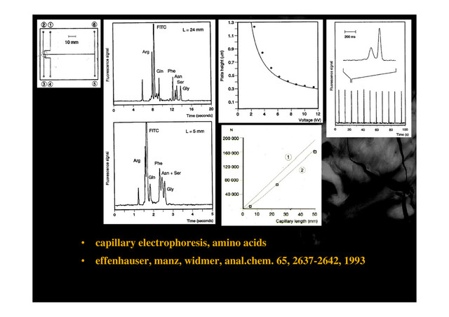 • capillary electrophoresis, amino acids
• effenhauser, manz, widmer, anal.chem. 65, 2637-2642, 1993

