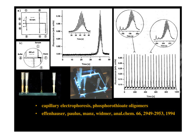 • capillary electrophoresis, phosphorothioate oligomers
• effenhauser, paulus, manz, widmer, anal.chem. 66, 2949-2953, 1994
p

