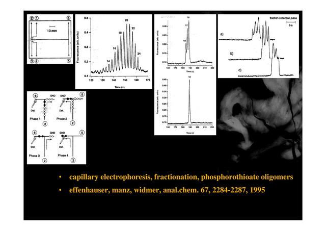 • capillary electrophoresis, fractionation, phosphorothioate oligomers
• effenhauser, manz, widmer, anal.chem. 67, 2284-2287, 1995
