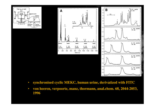 • synchronised cyclic MEKC, human urine, derivatized with FITC
• von heeren, verpoorte, manz, thormann, anal.chem. 68, 2044-2053,
1996
