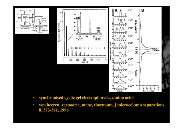 • synchronised cyclic gel electrophoresis, amino acids
• von heeren, verpoorte, manz, thormann, j.microcolumn separations
8, 373-381, 1996
