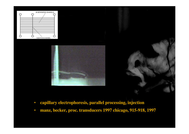 • capillary electrophoresis, parallel processing, injection
• manz, becker, proc. transducers 1997 chicago, 915-918, 1997
p g
