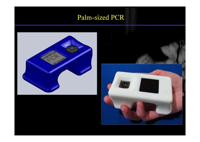 Palm-sized PCR
