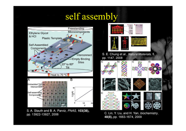 self assembly
y
S. E. Chung et al., Nature Materials, 5,
pp. 1147, 2008
S A St th d B A P i PNAS 103(38)
C. Lin, Y. Liu, and H. Yan, biochemistry,
48(8), pp. 1663-1674, 2009
S. A. Stauth and B. A. Parviz, PNAS, 103(38),
pp. 13922-13927, 2006

