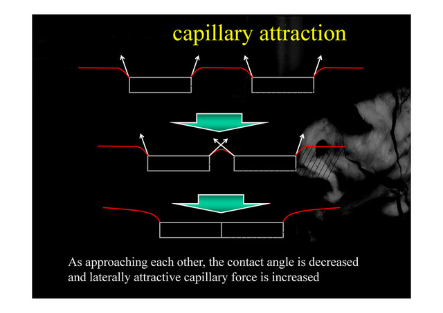 capillary attraction
As approaching each other the contact angle is decreased
P. Singh et al., Soft Matter, 2010, 6, 4310-4325
As approaching each other, the contact angle is decreased
and laterally attractive capillary force is increased
