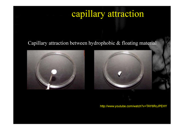 capillary attraction
Capillary attraction between hydrophobic & floating material
http://www.youtube.com/watch?v=TAY6RcJPEHY
