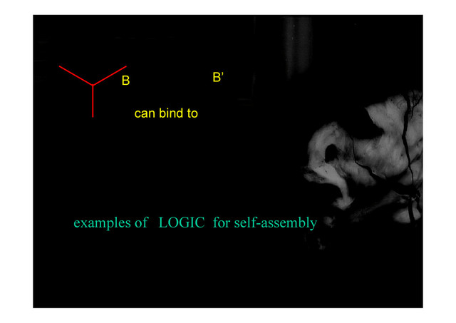 B B’
can bind to
examples of LOGIC for self-assembly
