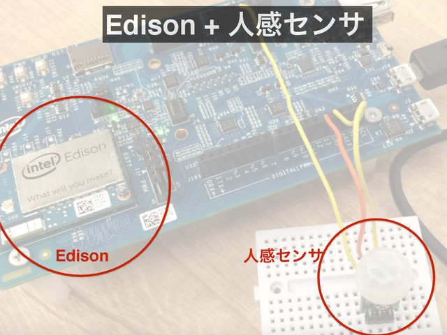 Edison + ਓײηϯα
Edison ਓײηϯα

