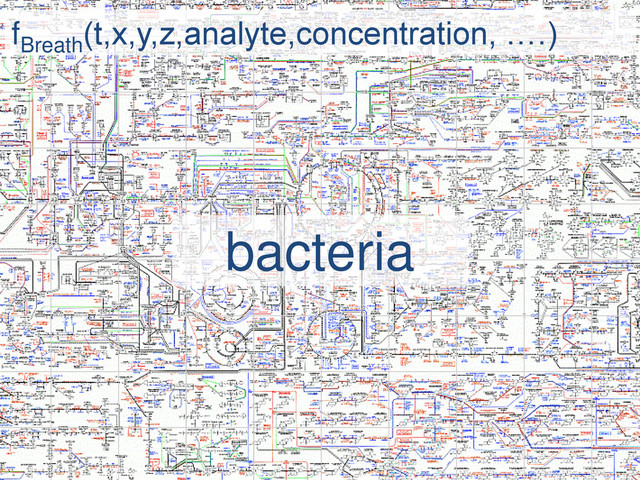 fBreath
(t,x,y,z,analyte,concentration, ….)
bacteria
