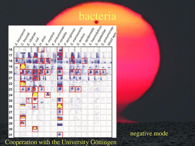bacteria
negative mode
Cooperation with the University Göttingen
