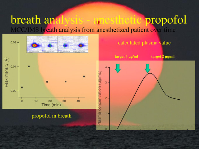 breath analysis - anesthetic propofol
0 10 20 30 40
0.00
0.01
0.02
Peak intensity (V)
Time (min)
MCC/IMS breath analysis from anesthetized patient over time
0 10 20 30 40 50
0
1
2
3
4
Plasma concentration (µg/mL)
Time (min)
calculated plasma value
target 4 µg/ml target 2 µg/ml
propofol in breath
