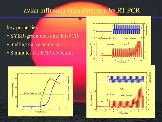 avian influenza virus detection by RT-PCR
key properties
• SYBR-green real-time RT-PCR
• melting curve analysis
• 8 minutes for RNA detection
0 2 4 6 8 10 12 14
0.0
0.2
0.4
0.6
0.8
1.0
-3
-2
-1
0
1
2
Fluorescence (V)
Time (min)
105 copies in 10 L MC
Virus Detected
Hot Start
RT
Temperature (V)
PCR
0 10 20 30 40
0
50
100
150
10-4
10-3
10-2
Fluorescence (mV)
Cycle Number
Differential Fluorescence (V/cycle)
Critical Threshold 22.3
0 2 4 6 8 10 12
0.0
0.3
0.6
-5
-4
-3
-2
-1
0
1
2
Fluorescence (V)
Time (min)
Virus Detected
Hot Start
RT
Temperature (V)
PCR
