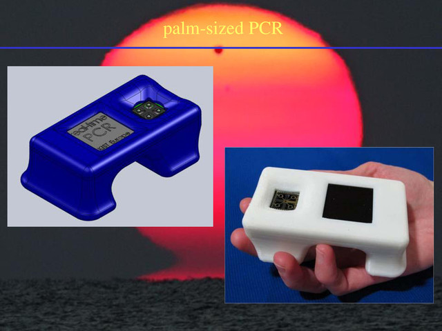 palm-sized PCR
