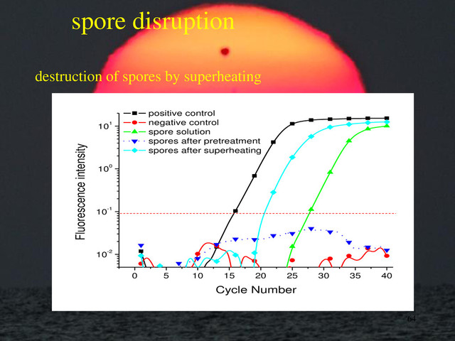spore disruption
destruction of spores by superheating
64
0 5 10 15 20 25 30 35 40
10-2
10-1
100
101
Fluorescence intensity
Cycle Number
positive control
negative control
spore solution
spores after pretreatment
spores after superheating
