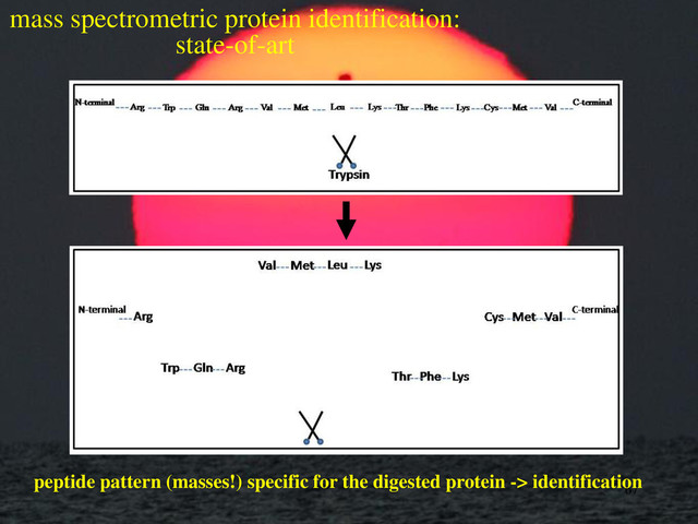 67
mass spectrometric protein identification:
state-of-art
peptide pattern (masses!) specific for the digested protein -> identification
