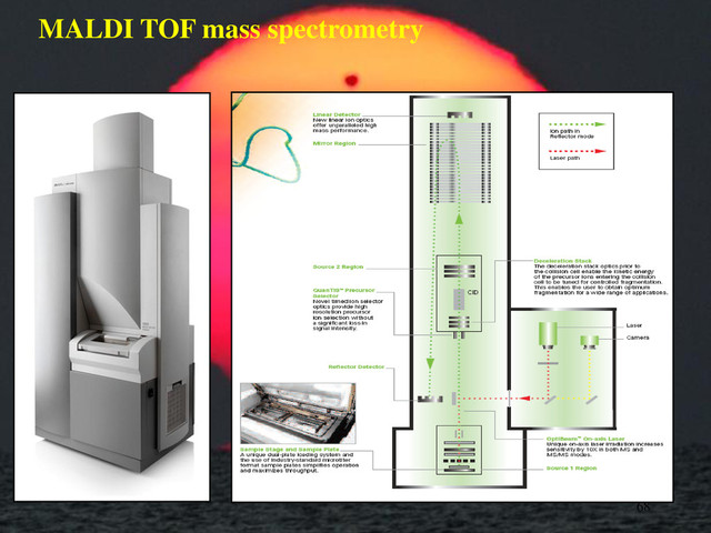 MALDI TOF mass spectrometry
68
