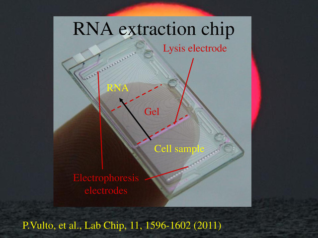 RNA extraction chip
Electrophoresis
electrodes
Lysis electrode
Gel
Cell sample
RNA
P.Vulto, et al., Lab Chip, 11, 1596-1602 (2011)
