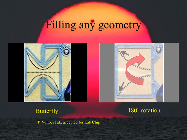 Butterfly 180° rotation
Filling any geometry
P. Vulto, et al., accepted for Lab Chip
