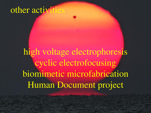 other activities
high voltage electrophoresis
cyclic electrofocusing
biomimetic microfabrication
Human Document project
