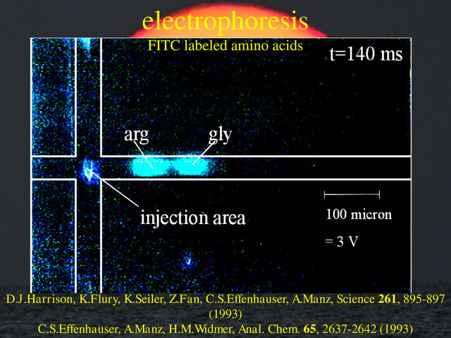 fluorescence [arb. units]
time [s]
0 40 80 120 160
1 2
3
4
5
6
cycle #
7 8
t 7 s
synchr.
fluorescence [arb. units]
time [s]
0 40 80 120 160
1 2
3
4
5
6
cycle #
7 8
t 7 s
synchr.
fluorescence [arb. units]
time [s]
0 40 80 120 160
1 2
3
4
5
6
cycle #
7 8
t 7 s
synchr.
electrophoresis
FITC labeled amino acids
D.J.Harrison, K.Flury, K.Seiler, Z.Fan, C.S.Effenhauser, A.Manz, Science 261, 895-897
(1993)
C.S.Effenhauser, A.Manz, H.M.Widmer, Anal. Chem. 65, 2637-2642 (1993)

