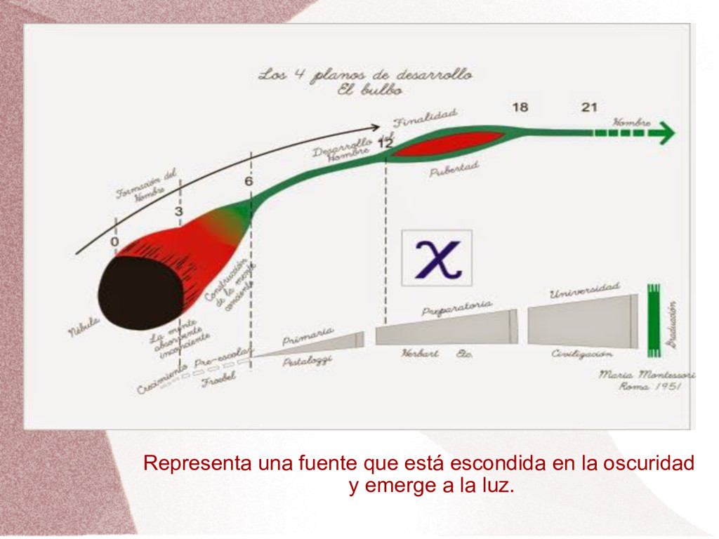 Los 4 planos del desarrollo de Montessori