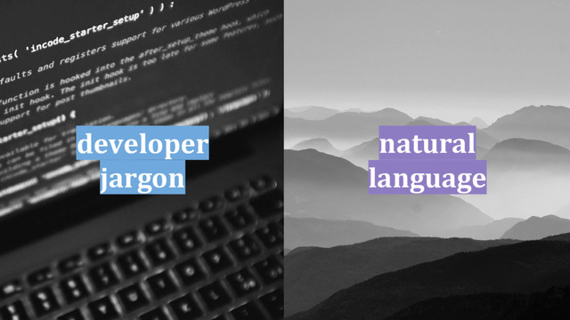developer
jargon
natural
language
