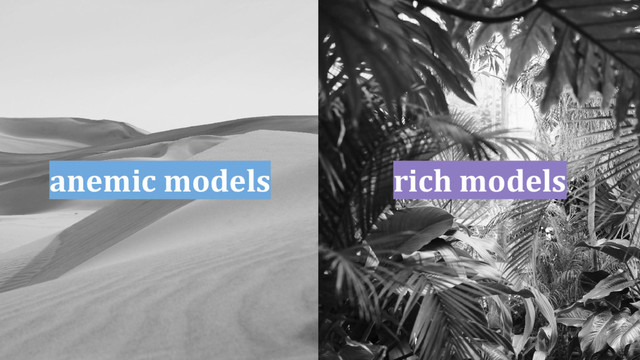 anemic models rich models
