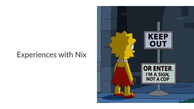Experiences with Nix

