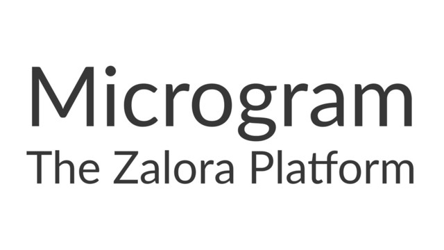 Microgram
The Zalora Pla+orm

