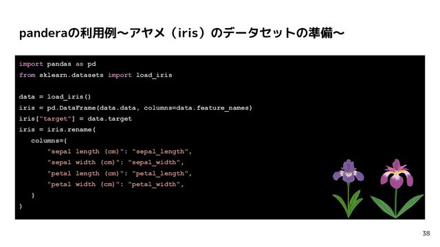 panderaの利用例〜アヤメ（iris）のデータセットの準備〜
38
import pandas as pd
from sklearn.datasets import load_iris
data = load_iris()
iris = pd.DataFrame(data.data, columns=data.feature_names)
iris["target"] = data.target
iris = iris.rename(
columns={
"sepal length (cm)": "sepal_length",
"sepal width (cm)": "sepal_width",
"petal length (cm)": "petal_length",
"petal width (cm)": "petal_width",
}
)
