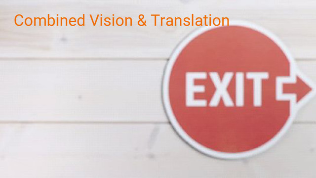Combined Vision & Translation
