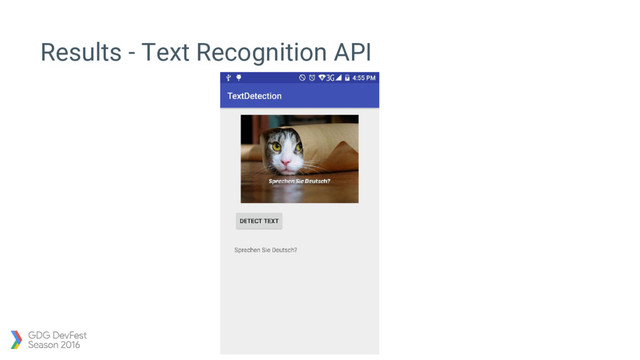 Results - Text Recognition API
