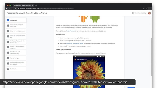 https://codelabs.developers.google.com/codelabs/recognize-flowers-with-tensorflow-on-android
