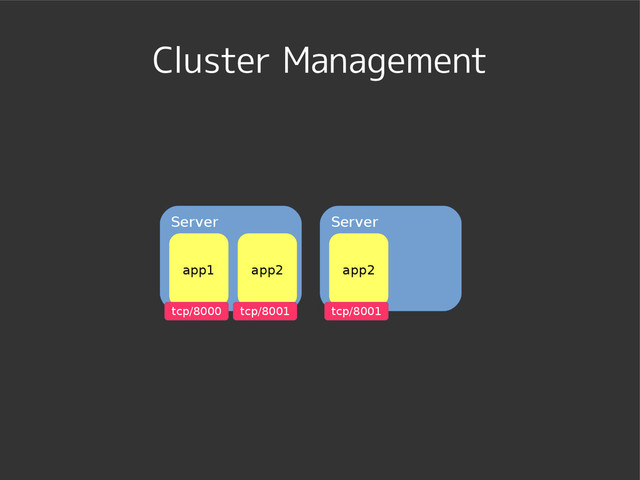 Cluster Management
Server
app1
tcp/8000
Server
app2
tcp/8001
app2
tcp/8001

