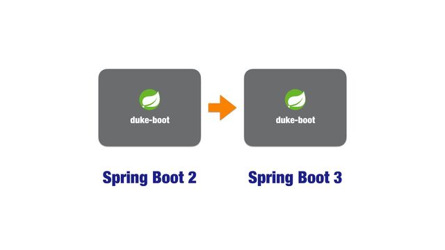 Spring Boot 2 Spring Boot 3
duke-boot
duke-boot
