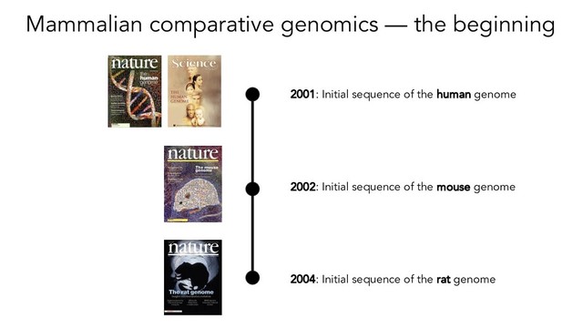 Mammalian comparative genomics — the beginning
2001: Initial sequence of the human genome
2002: Initial sequence of the mouse genome
2004: Initial sequence of the rat genome
