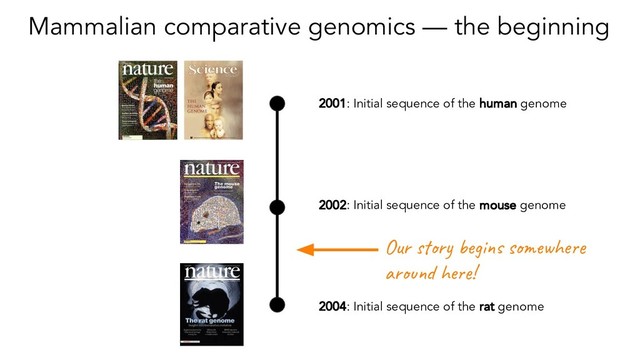 Mammalian comparative genomics — the beginning
2001: Initial sequence of the human genome
2002: Initial sequence of the mouse genome
2004: Initial sequence of the rat genome
Our story begins somewhere
around here!
