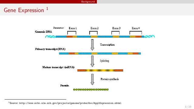 Background
Gene Expression 1
1Source: http://www.ncbi.nlm.nih.gov/projects/genome/probe/doc/ApplExpression.shtml
3 / 23
