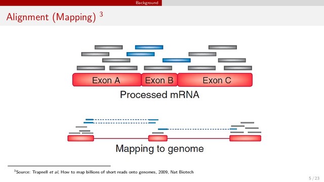 Background
Alignment (Mapping) 3
3Source: Trapnell et al, How to map billions of short reads onto genomes, 2009, Nat Biotech
5 / 23
