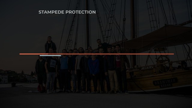 STAMPEDE PROTECTION
