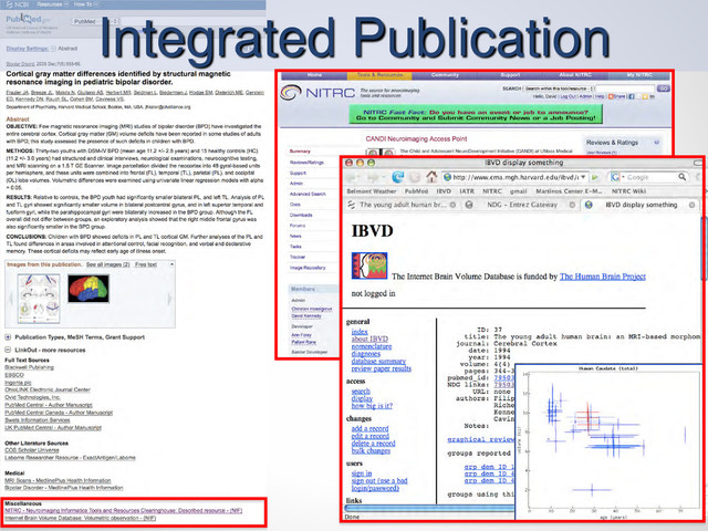 Integrated Publication
