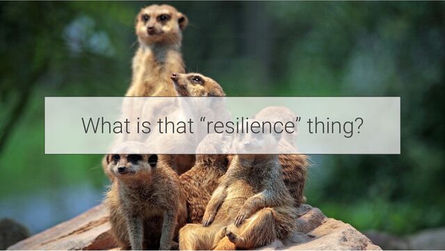 What is that “resilience” thing?

