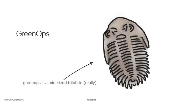 @holly_cummins #RedHat
GreenOps
greenops is a mid-sized trilobite (really)
