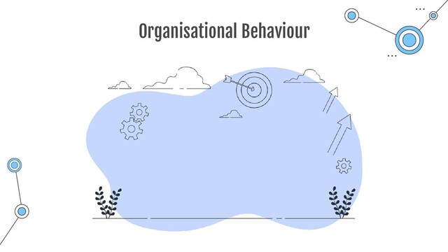 Organisational Behaviour
