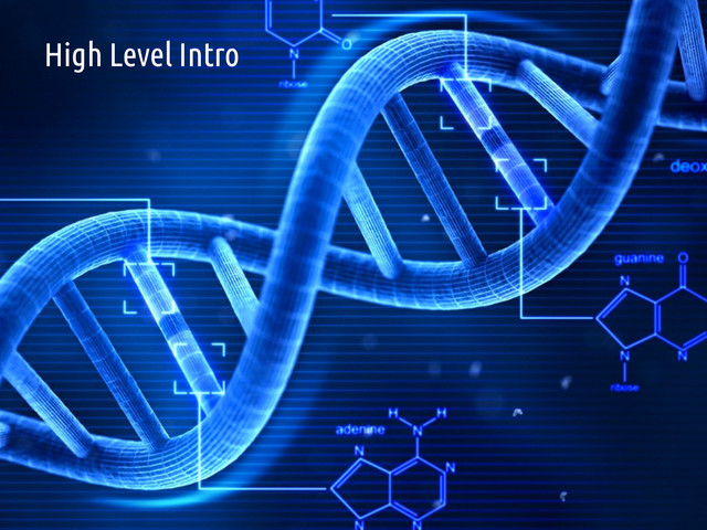 11
Traditional DNA Research
High Level Intro
