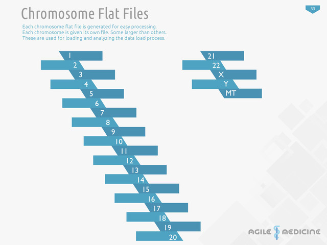 33
1
2
3
4
5
6
7
8
9
10
11
12
13
14
15
16
17
18
19
20
21
22
X
Y
MT
Chromosome Flat Files
Each chromosome !at "le is generated for easy processing.
Each chromosome is given its own "le. Some larger than others.
These are used for loading and analyzing the data load process.
