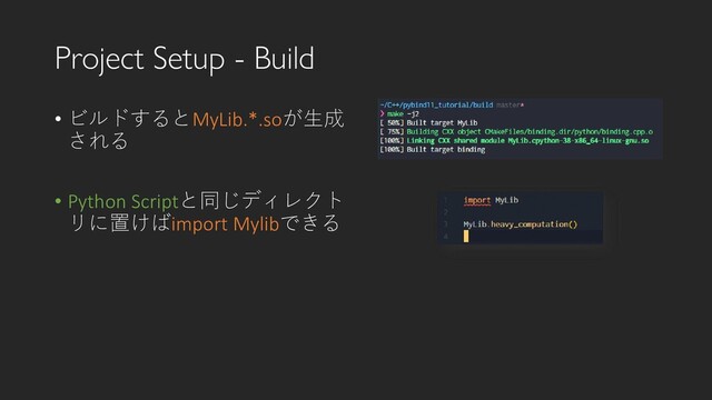 Project Setup - Build
• ビルドするとMyLib.*.soが生成
される
• Python Scriptと同じディレクト
リに置けばimport Mylibできる
