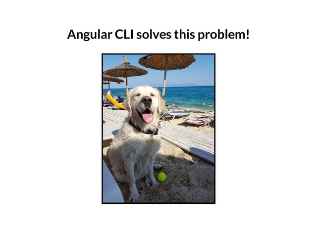 Angular CLI solves this problem!
