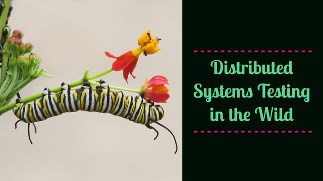 Distributed
Systems Testing
in the Wild
